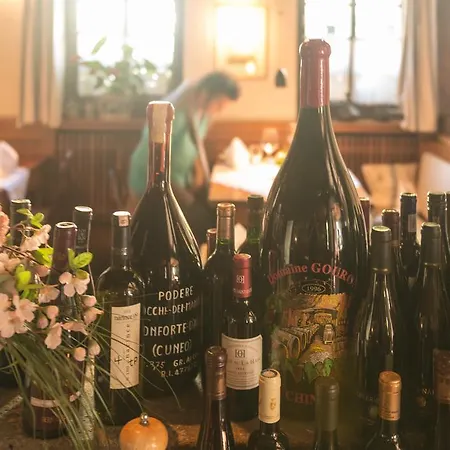 Landgasthof Zum Weissen Schwanen 호텔