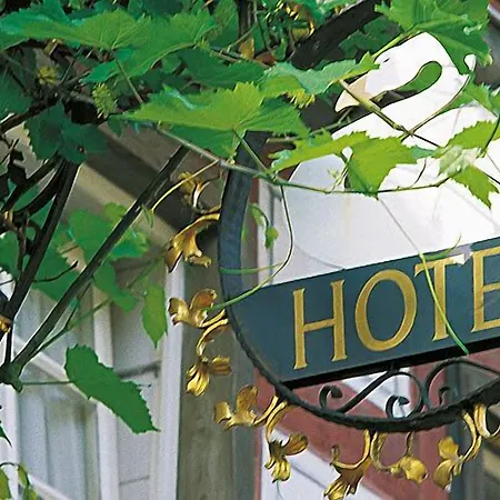 Landgasthof Zum Weissen Schwanen Hotel 4*