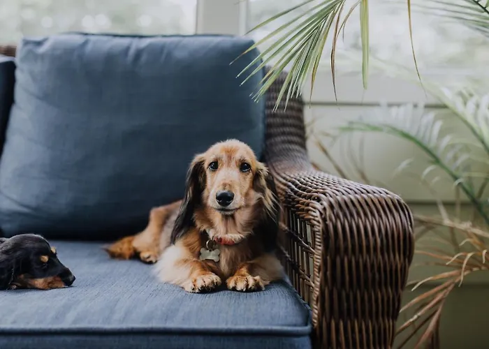 Landgasthof Zum Weissen Schwanen ホテル ブラウバッハ